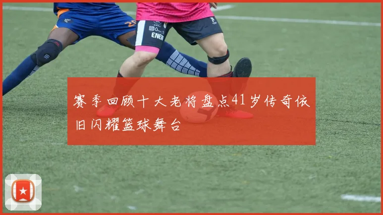 赛季回顾十大老将盘点41岁传奇依旧闪耀篮球舞台