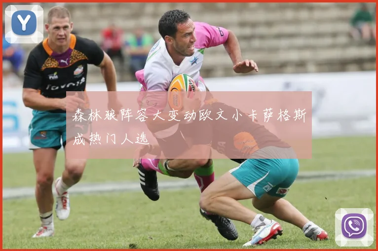 森林狼阵容大变动欧文小卡萨格斯成热门人选